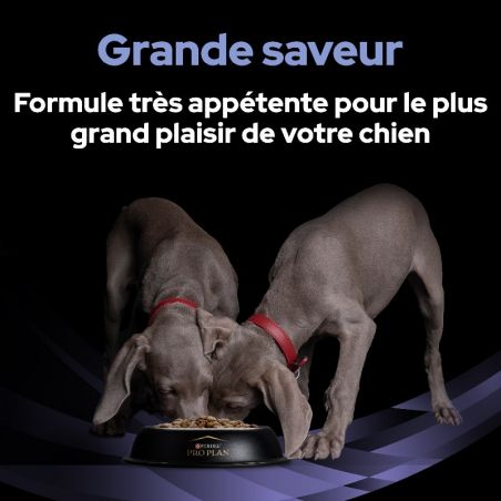Pro Plan Fortiflora pour chien - JungleVet