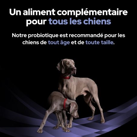 Pro Plan Fortiflora pour chien - JungleVet