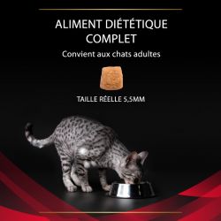 Purina Veterinary Diets Feline DM Stox Diabetes Management
