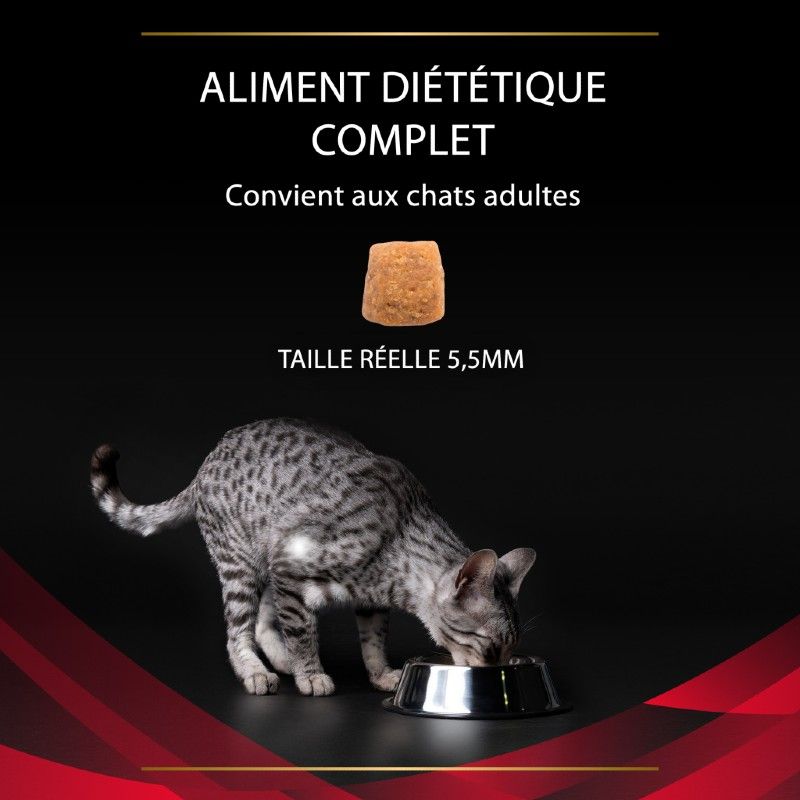 Purina Veterinary Diets Feline DM Stox Diabetes Management