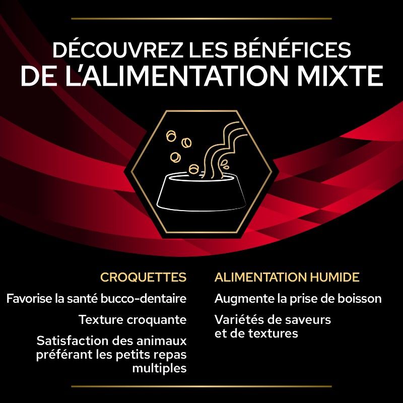 Purina Veterinary Diets Feline DM Stox Diabetes Management Bœuf 10 x 85 g