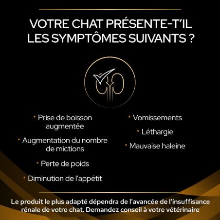 Purina Veterinary Diets Feline NF Renal Function 24 x 195 g