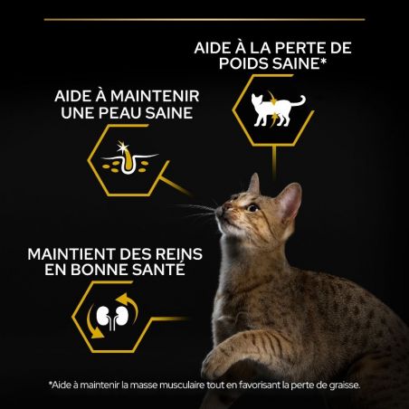 Pro Plan Chat Adult light à la dinde