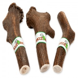 Friandises Bois de Cerf - JungleVet