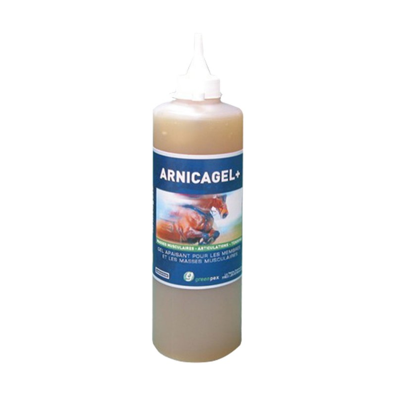 Arnicagel+ pour chevaux - JungleVet