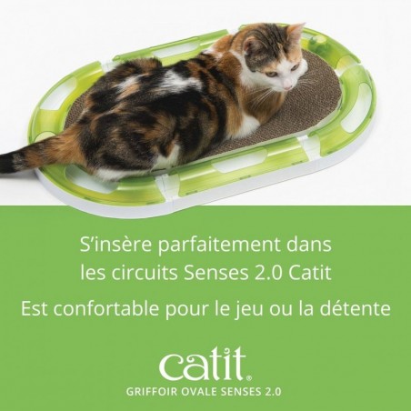 Griffoir ovale Catit Senses 2.0 pour chat banc vert - JungleVet