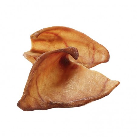 Friandises Oreille de Porc sachet de 10 pièces - JungleVet