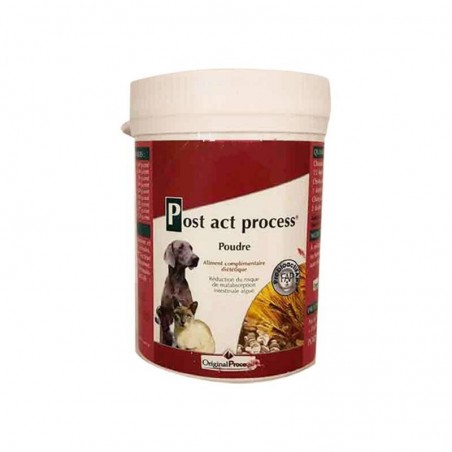 Post Act process chien et chat - JungleVet