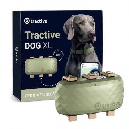 GPS Tractive Dog XL pour chien à partir de 18 kg - JungleVet