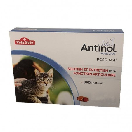 Antinol pour chat - JungleVet