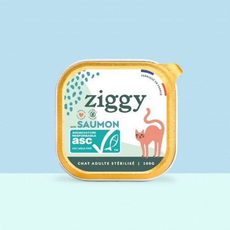 Ziggy Chat Adulte Sterilisé sans céréales patées au saumon 4 barquettes de 100 g - JungleVet