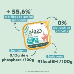 Ziggy Chat Adulte Sterilisé sans céréales patées au saumon 4 barquettes de 100 g - JungleVet