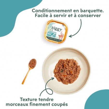 Ziggy Chat Adulte Sterilisé sans céréales patées au saumon 4 barquettes de 100 g - JungleVet