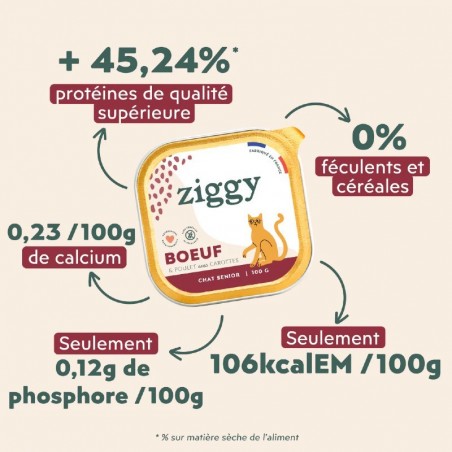 Ziggy Chat Senior sans céréales patées au boeuf 4 barquettes de 100 g - JungleVet