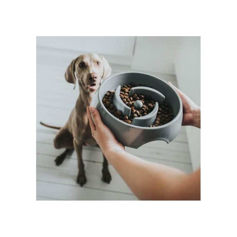 Hunter Gamelle Anti Glouton Atlanta pour chien - JungleVet