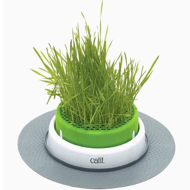 Jardin d'herbe à chat Catit Senses 2.0 - JungleVet