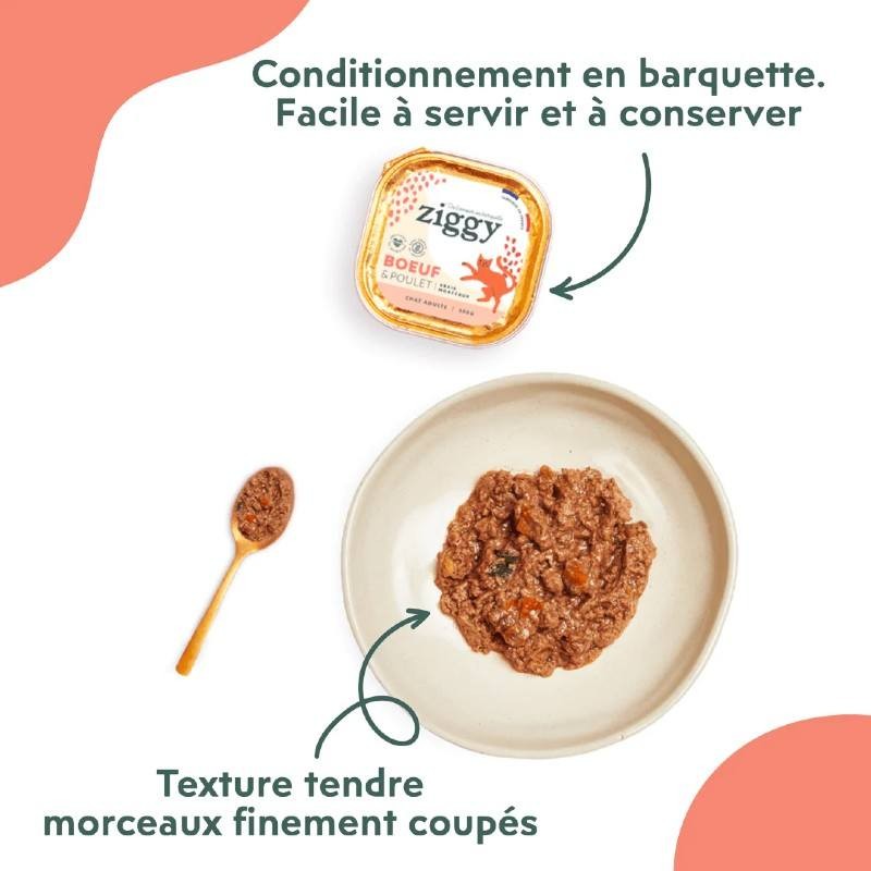 Ziggy Chat Adulte sans céréales patées au Boeuf 4 barquettes de 100 g