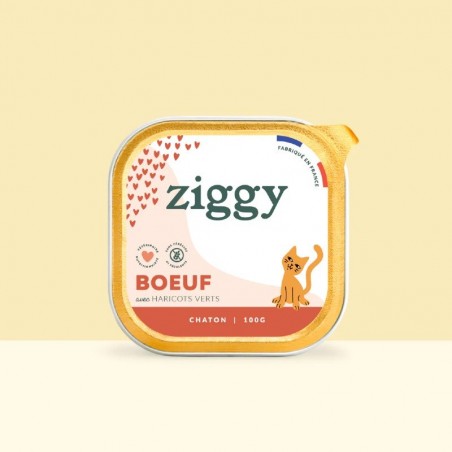 Ziggy Chaton sans céréales patées au Boeuf - 4 barquettes de 100 g - JungleVet