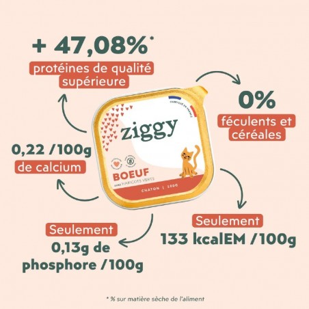 Ziggy Chaton sans céréales patées au Boeuf - 4 barquettes de 100 g - JungleVet