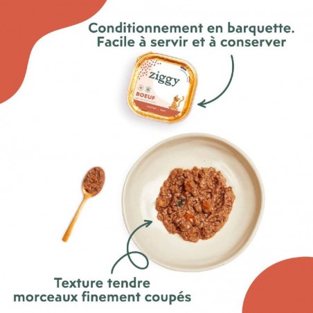 Ziggy Chaton sans céréales patées au Boeuf - 4 barquettes de 100 g - JungleVet