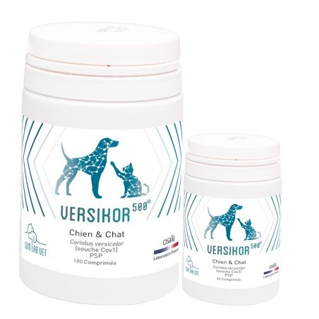 Versikor 500 mg - comprimés pour chien et chat - JungleVet
