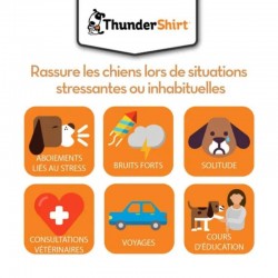Gilet anti anxiété ThunderShirt pour chien - JungleVet