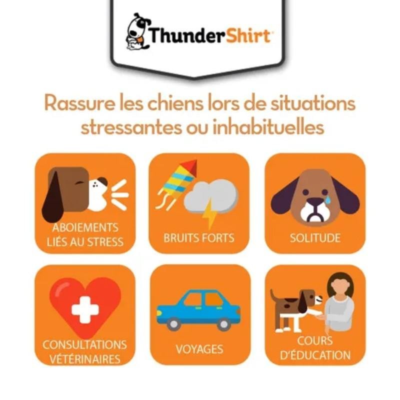 Gilet anti anxiété ThunderShirt pour chien - JungleVet
