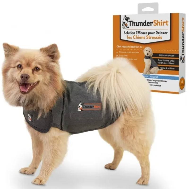 Gilet anti anxiété ThunderShirt pour chien - JungleVet