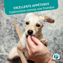 Pet Phos canin Croissance Ca/P 1,3 chiens