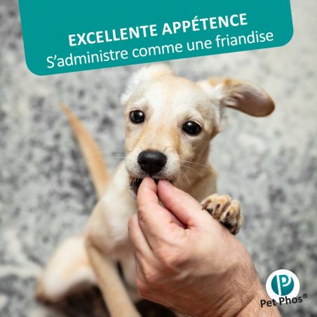 Pet Phos canin Croissance Ca/P 1,3 chiens