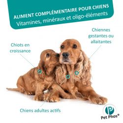 Pet Phos canin Croissance Ca/P 1,3 chiens