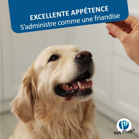 Pet Phos canin Croissance Ca/P 2 grands chiens Boite de 100 cp