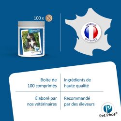 Pet Phos canin Croissance Ca/P 2 grands chiens Boite de 100 cp