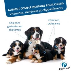 Pet Phos canin Croissance Ca/P 2 grands chiens Boite de 100 cp