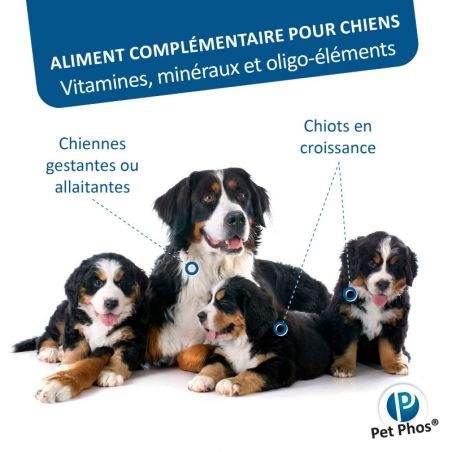 Pet Phos canin Croissance Ca/P 2 grands chiens Boite de 100 cp