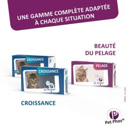 Pet Phos pelage chat Boite de 36 comprimés