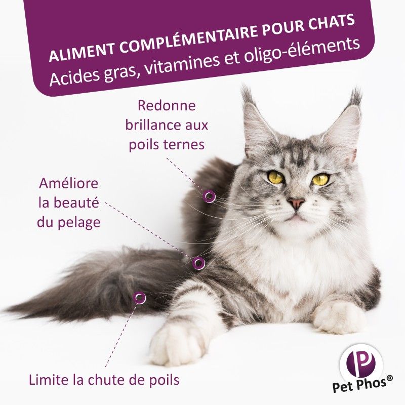 Pet Phos pelage chat Boite de 36 comprimés