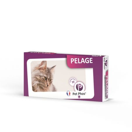 Pet Phos pelage chat Boite de 36 comprimés