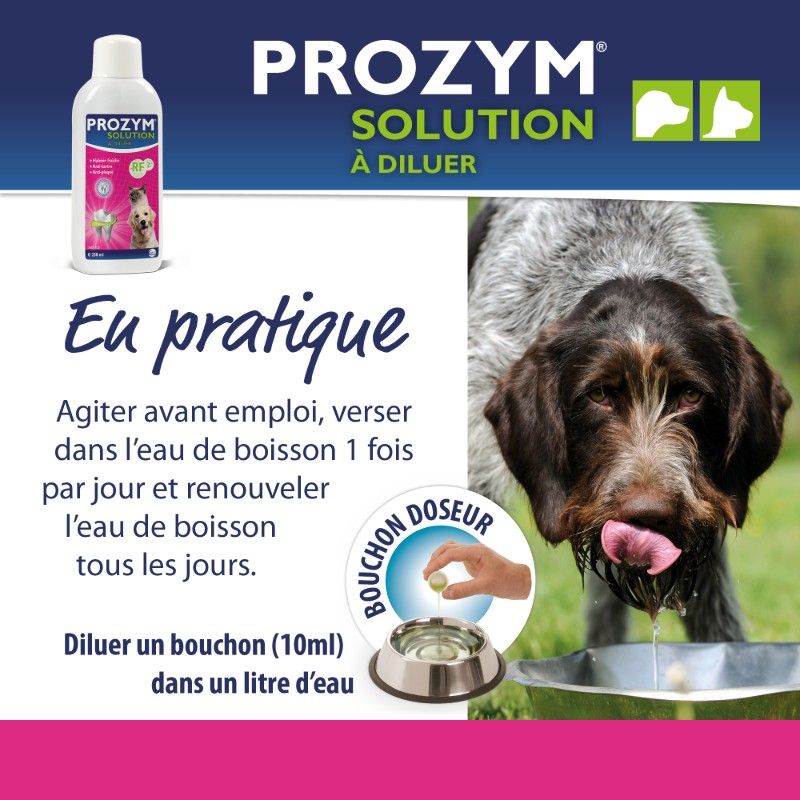 Prozym RF2 solution buvable Flacon de 250 ml