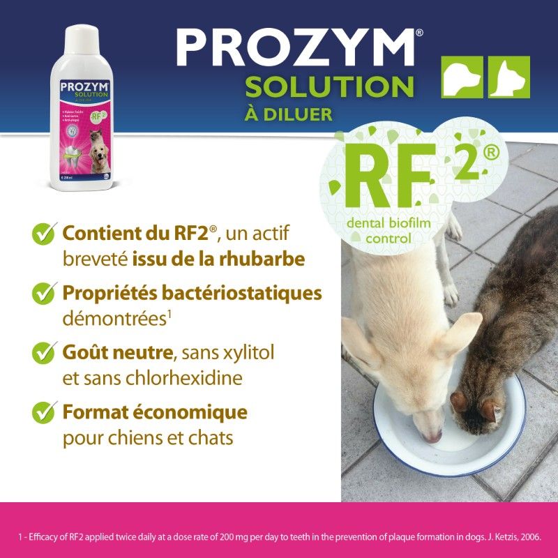 Prozym RF2 solution buvable Flacon de 250 ml