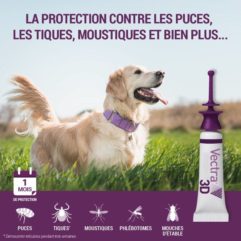 Vectra 3D chiens de 1,5 à 4 kg