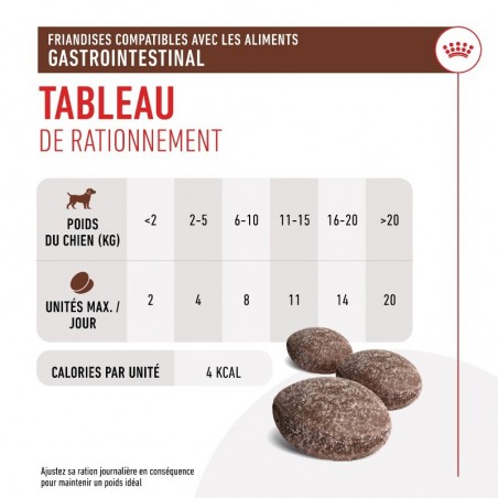 Royal Canin Dog Gastrointestinal Treats sachet de 230 g - JungleVet