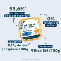 Ziggy Chat Adulte Stérilisé Poisson blanc Pâtée 4 barquettes de 100 g - JungleVet