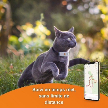 Collier GPS Weenect Cats 2 - JungleVet
