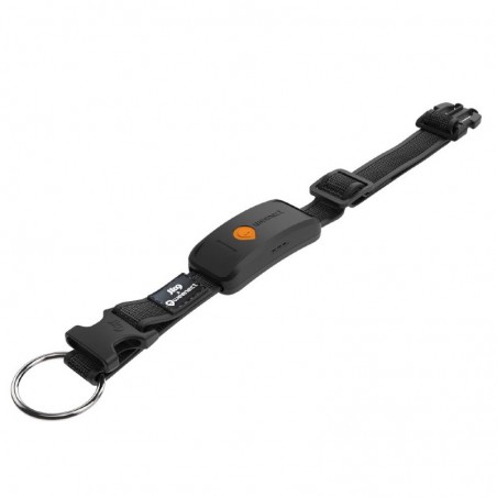 GPS Weenect XT pour chien Noir - JungleVet