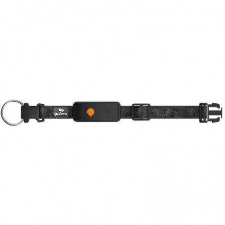 GPS Weenect XT pour chien Noir - JungleVet