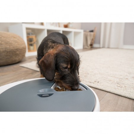 Distributeur automatique de nourriture Trixie TX4+1 - 5 x 250 ml - JungleVet