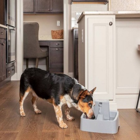 Fontaine Drinkwell pour chats et chiens - JungleVet