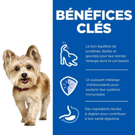 Hill's Science Plan chien senior 7+ Small & Mini Boeuf mousse 12 boites de 200 g - JungleVet