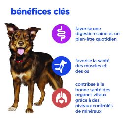 Hill's Vet Essentials Multi Benefit pour chien au poulet et légumes - 12 boîtes de 363 g - JungleVet